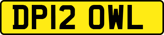 DP12OWL