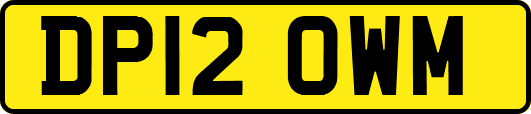 DP12OWM
