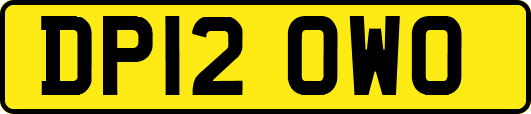 DP12OWO