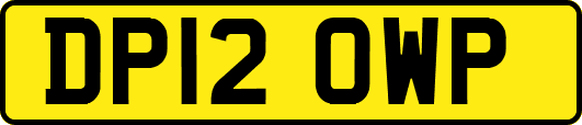 DP12OWP