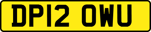 DP12OWU