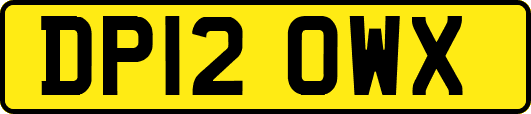 DP12OWX