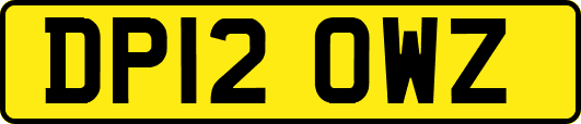 DP12OWZ