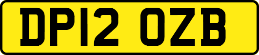 DP12OZB