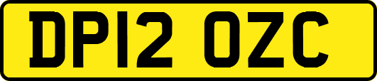 DP12OZC