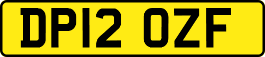 DP12OZF
