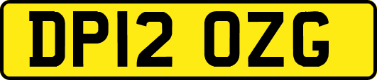 DP12OZG