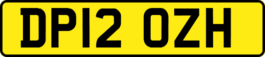 DP12OZH