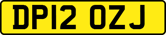 DP12OZJ