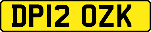 DP12OZK