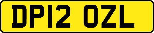 DP12OZL