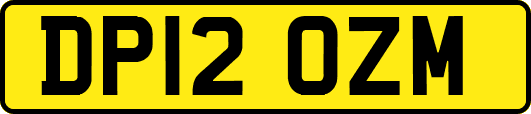 DP12OZM