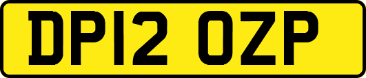 DP12OZP