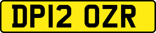 DP12OZR