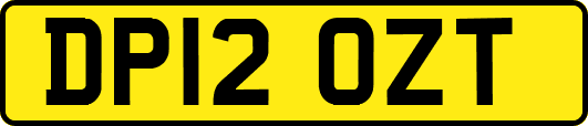 DP12OZT