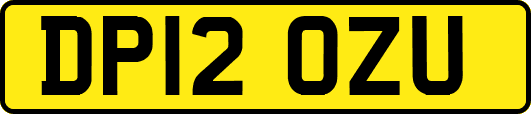 DP12OZU