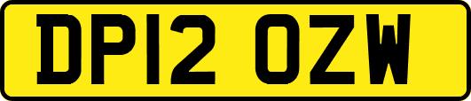 DP12OZW