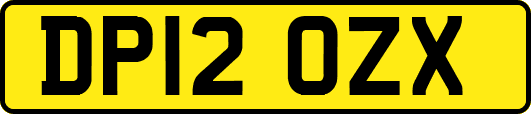 DP12OZX