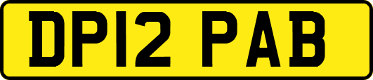 DP12PAB