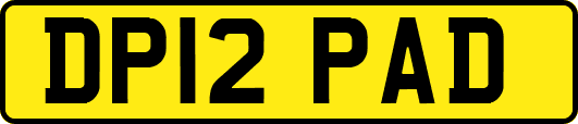 DP12PAD