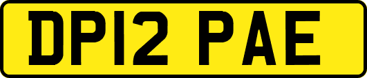 DP12PAE