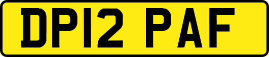 DP12PAF