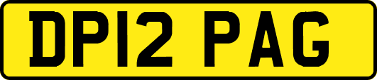 DP12PAG