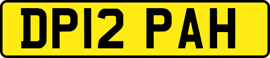 DP12PAH