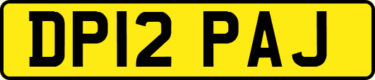 DP12PAJ