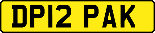 DP12PAK