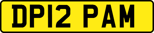 DP12PAM