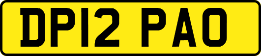 DP12PAO