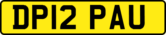 DP12PAU
