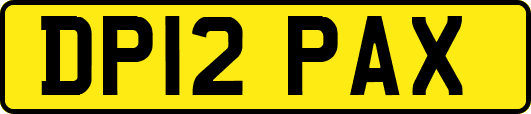DP12PAX