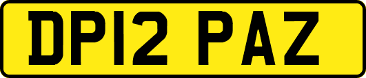 DP12PAZ