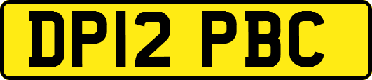DP12PBC