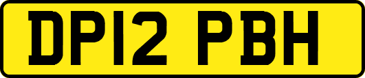 DP12PBH