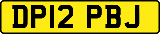 DP12PBJ