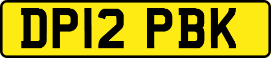 DP12PBK