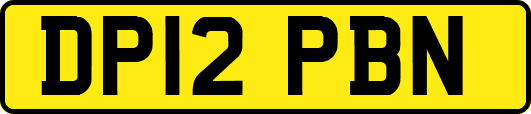 DP12PBN
