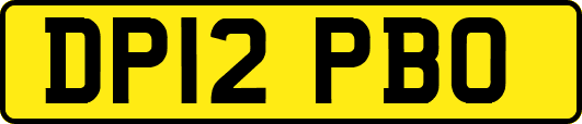 DP12PBO