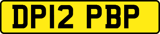 DP12PBP