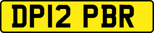 DP12PBR