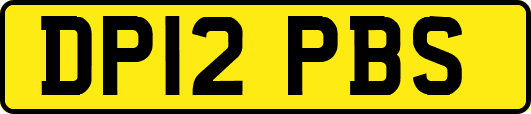 DP12PBS