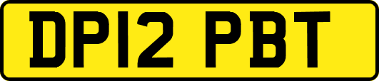 DP12PBT