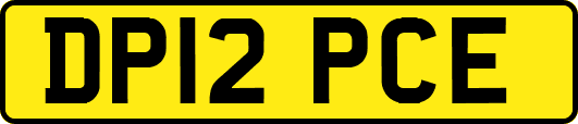 DP12PCE