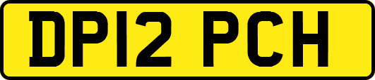 DP12PCH