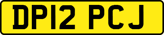 DP12PCJ
