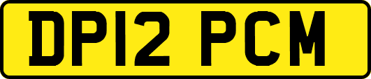 DP12PCM