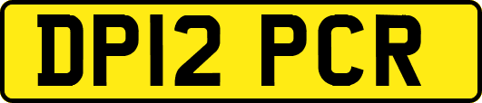 DP12PCR